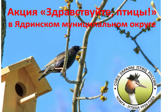 В Ядринском муниципальном округе стартовала экологическая акция «Здравствуйте, птицы!»