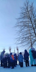 Грачи прилетели