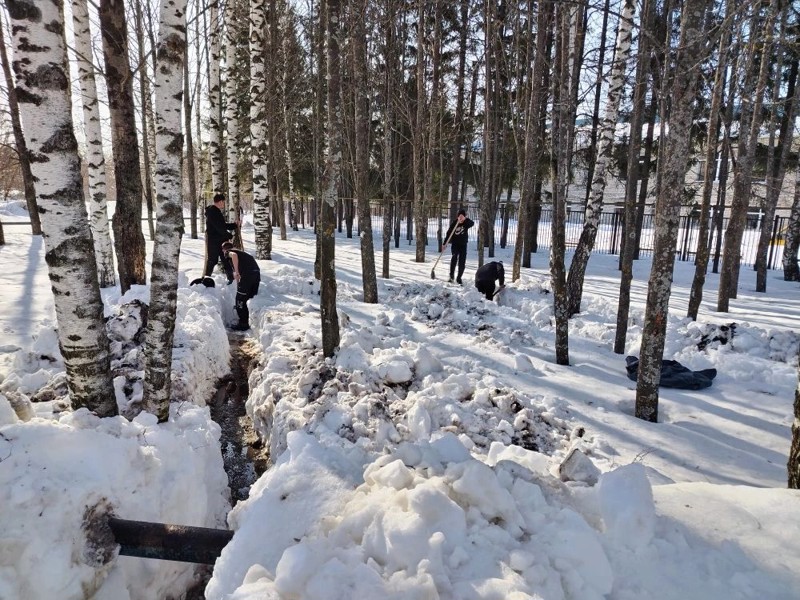 Весна на пороге: Подготовка к таянию снега