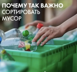 Почему так важно сортировать мусор?
