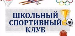 Школьный спортивный клуб