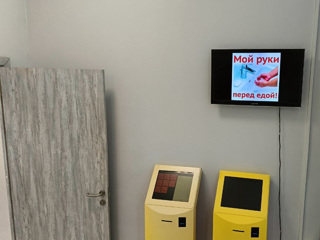 5456453292272585948.jpg
