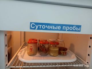 i_803.jpg