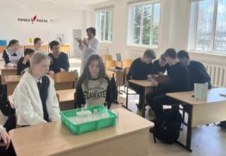 Урок химии в 8 классе