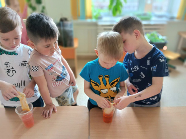 ОПЫТ С ПЕКИНСКОЙ КАПУСТОЙ