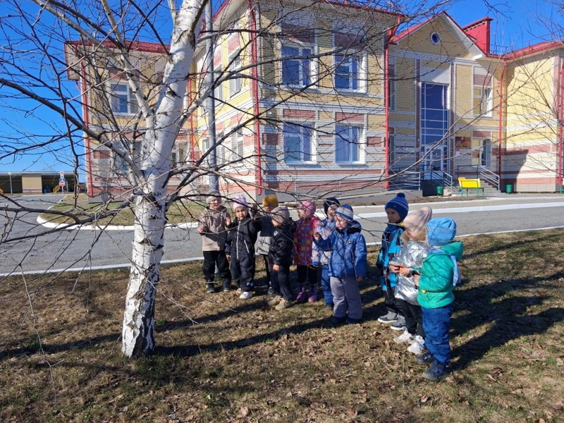 Живые чудеса в природе