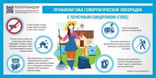 О мерах по профилактике геморрагической лихорадке с почечным синдромом (ГЛПС)