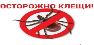 Осторожно, клещи