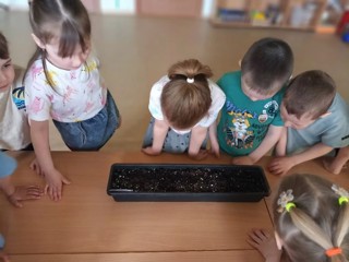 «Эколята – наши друзья»