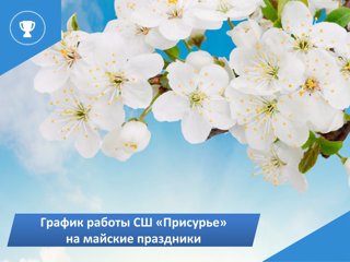 График работы СШ "Присурье" в праздничные дни