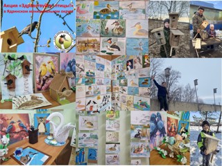Подведены итоги муниципального этапа экологической акции "Здравствуйте, птицы!»