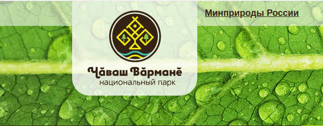 Итоги конкурса рисунка «Мир заповедной природы»