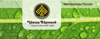 Итоги конкурса рисунка «Мир заповедной природы»
