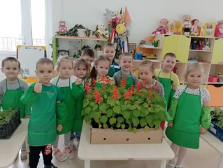 Юные агрономы в деле