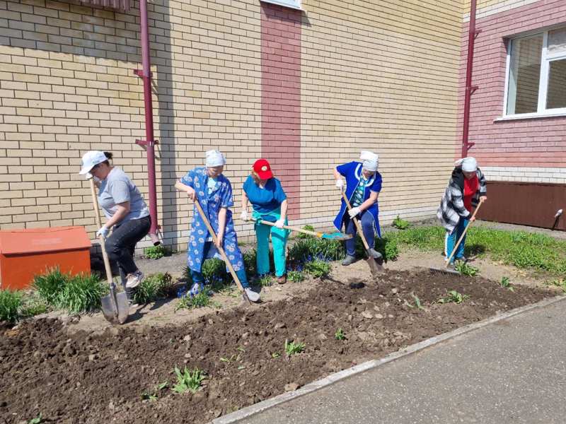 Благоустройство цветников