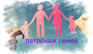 Посещение  семей во  время  зимних каникул.