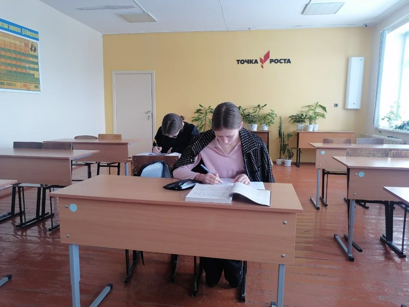 Каникулы с пользой: учащиеся 9 и 11 классов готовятся к ОГЭ и ЕГЭ