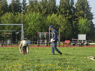 img_20260515_093851.png