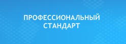ПРОФЕССИОНАЛЬНЫЙ СТАНДАРТ