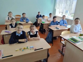 Какие насекомые просыпаются весной