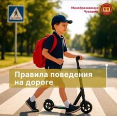 Правила поведения на дороге
