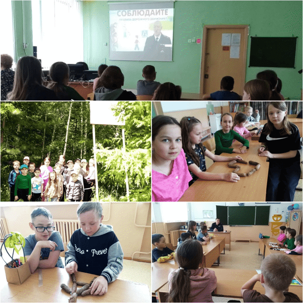 8-й день в пришкольном лагере: Погружение в мир природы и безопасности!