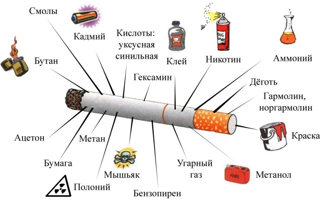 О вреде употребления табака