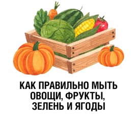 День здорового пищеварения. Мыть или не мыть: правила обработки овощей и фруктов