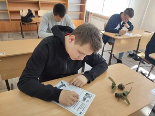 Акция "Помощь СВО"