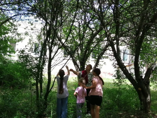 img_20260618_132556.png