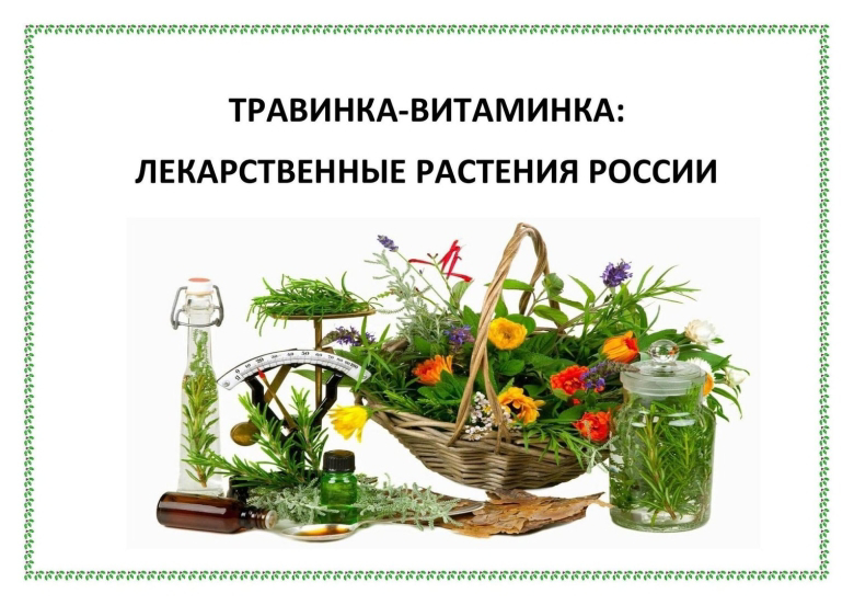 День лекарственных растений