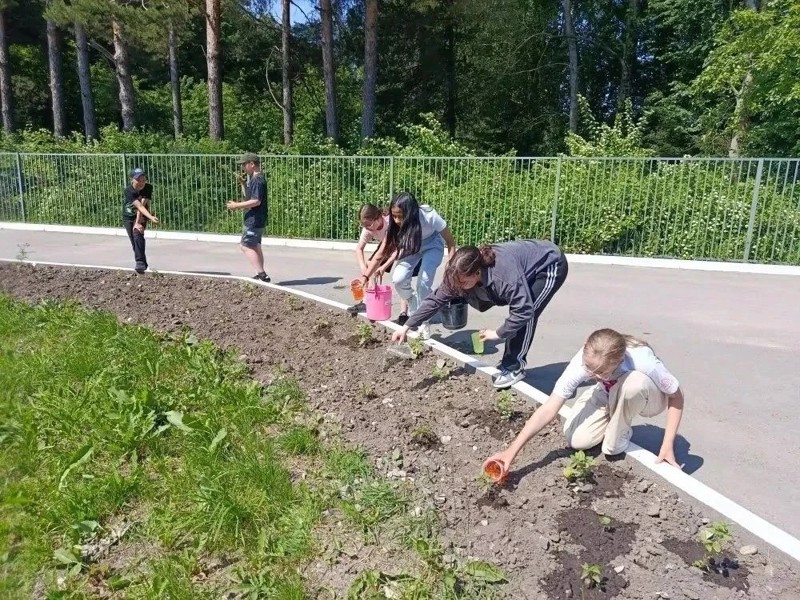 Новости от "островитян"