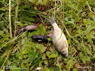 img_20260619_144003.png