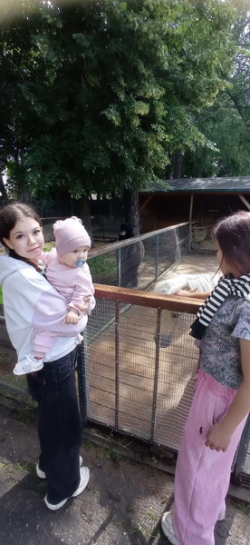 Каникулы с пользой: знакомство с «Ковчегом» в парке Николаева 🐫🦚
