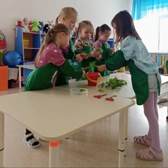 Посадка петуний