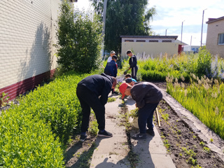 Летняя трудовая практика