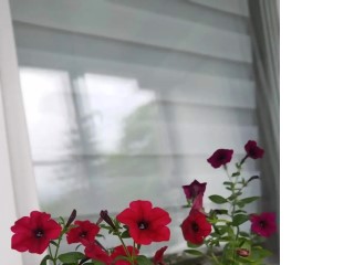 135097b1-1bed-464e-b4f0-1bc5c67eb7a9.jpg