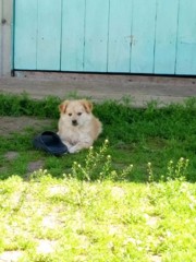 Рубрика "Лето в кадре"