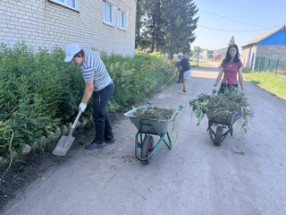 На пришкольном участке