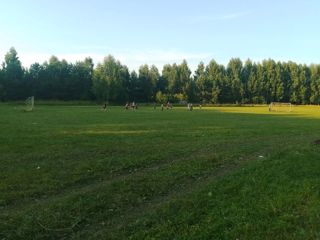 img_20260710_093928_356.jpg