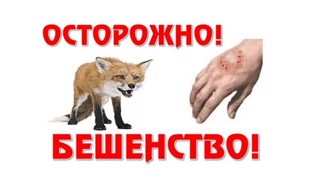Бешенства можно избежать