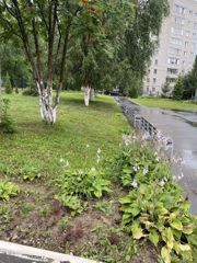Благоустройство территории на 31.07.2026 г.