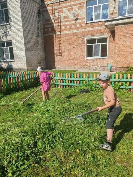 Красота и порядок на участке