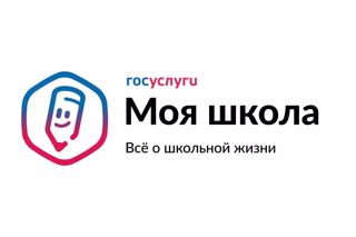 Что такое ТОР «Моя школа»