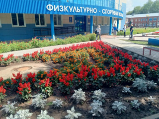 Приемка образовательных организаций. День второй