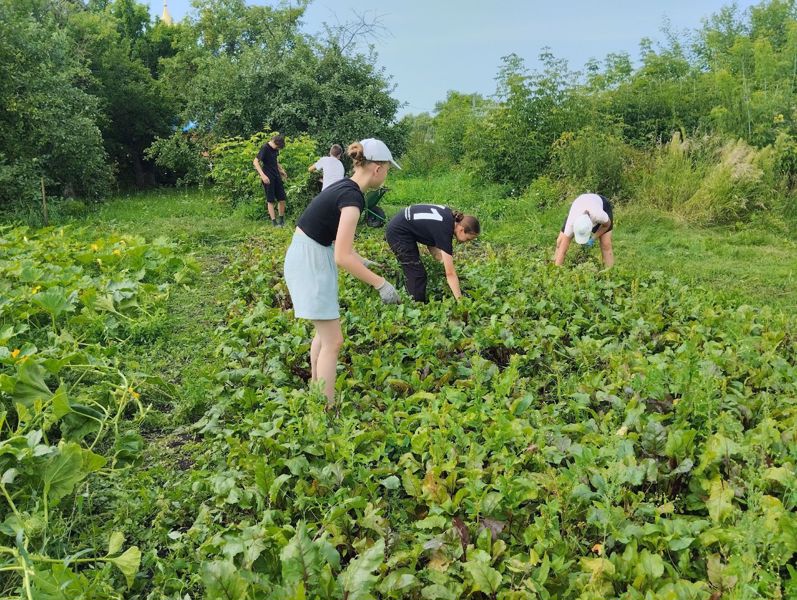 Летняя трудовая практика продолжается