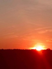 19db7bb0-bc3d-4f48-a6b1-dd0d85d70dbb.jpg