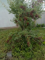 c6fa97b1-4c41-4252-bd80-f87b93eac9fb.jpg