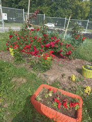 В детском саду № 10 «Сказка» завершилась приёмка учреждения к новому учебному году