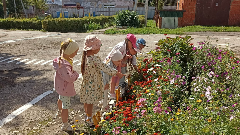"Наблюдаем за красотой, изучаем цветочную клумбу".